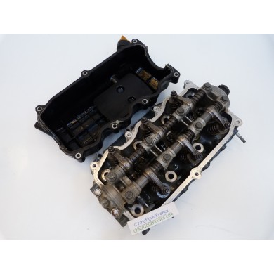 BF45 POWER HEAD 45 HP HONDA ZV5