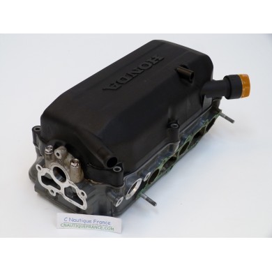 BF45 POWER HEAD 45 HP HONDA ZV5