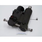 15 - 60 CV TRIM MOTORE EVINRUDE E-TEC