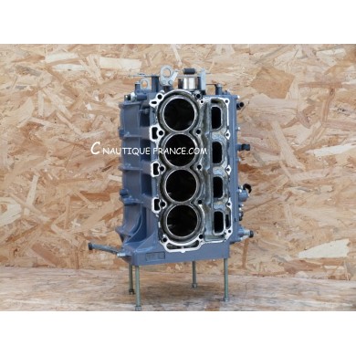 F75 - F100 CYLINDER BLOCK 75 - 100 HP 4S YAMAHA 67F 67G