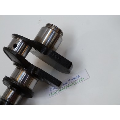 30 - 40 HP 4S CRANKSHAFT MERCURY 858507