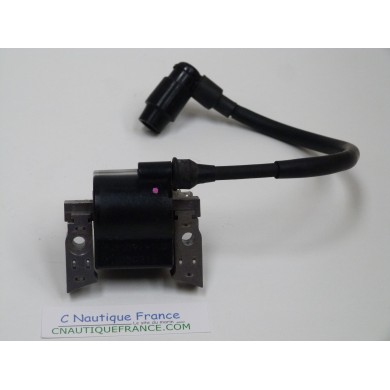 DF4 DF6 IGNITION COIL 4 - 6 HP 4S SUZUKI JOHNSON 91J