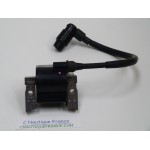 DF4 DF6 IGNITION COIL 4 - 6 HP 4S SUZUKI JOHNSON 91J