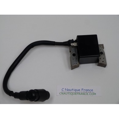 DF4 DF6 IGNITION COIL 4 - 6 HP 4S SUZUKI JOHNSON 91J