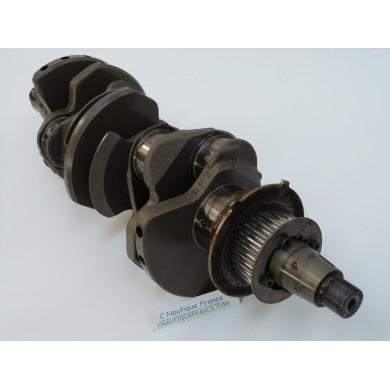 F200 F250 ALBERO A GOMITI 200 - 250 CV 4T YAMAHA 6P2