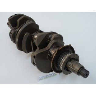 F200 F250 CRANKSHAFT 200 - 250 HP 4S YAMAHA 6P2