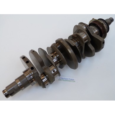 F200 F250 ALBERO A GOMITI 200 - 250 CV 4T YAMAHA 6P2