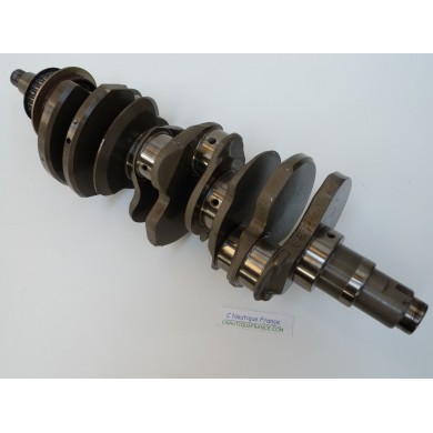 F200 F250 ALBERO A GOMITI 200 - 250 CV 4T YAMAHA 6P2