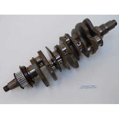 F200 F250 ALBERO A GOMITI 200 - 250 CV 4T YAMAHA 6P2