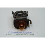 2.5 CV 4T CARBURATEUR SELVA SEA HORSE F55A P180