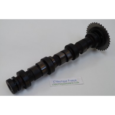 DF25 CAMSHAFT 25 HP 4S SUZUKI 12710-89J00