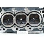 F200 CYLINDER HEAD 200 HP 4S YAMAHA 60L