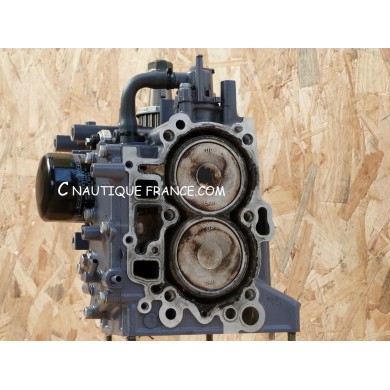 F15 F20 TETE MOTRICE 15 - 20 CV 4T YAMAHA 6AH 6AGK