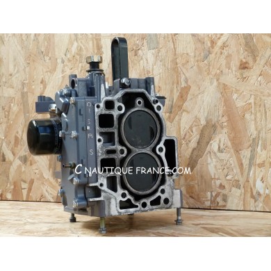 F25 POWERHEAD 25 HP 4S YAMAHA 65W