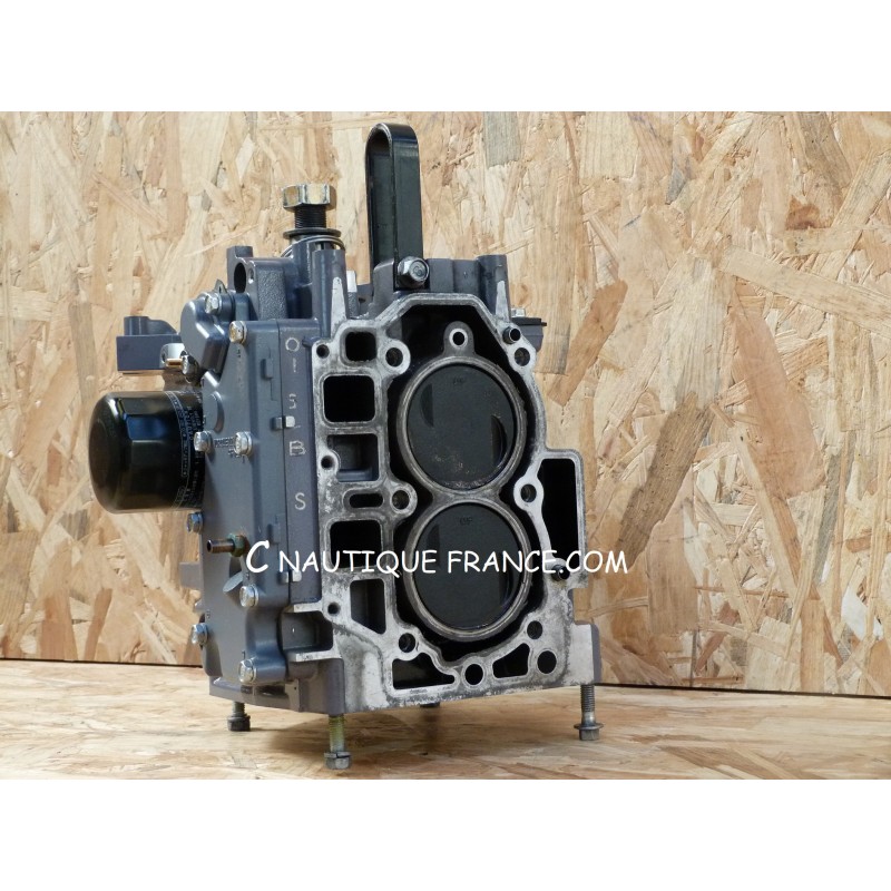 F25 BLOCCO MOTORE 25 CV 4T YAMAHA 65W