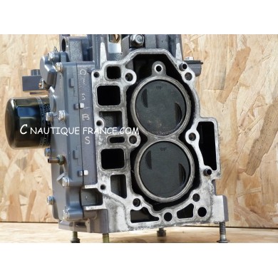 F25 BLOCCO MOTORE 25 CV 4T YAMAHA 65W