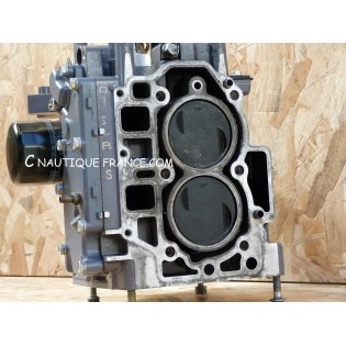 BLOCCO MOTORE 25 CV YAMAHA 65W F25A FUORIBORDO