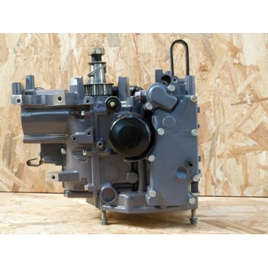 F25 BLOCCO MOTORE 25 CV 4T YAMAHA 65W