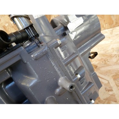 F25 BLOCCO MOTORE 25 CV 4T YAMAHA 65W