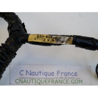 WIRE HARNESS ASSY 15 - 20 HP  4S YAMAHA 6AH-82590-10