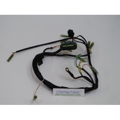 F25AMH HARNESS 25 HP 4S YAMAHA 65W