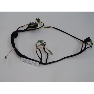 F25AMH HARNESS 25 HP 4S YAMAHA 65W