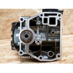 9.9 CV 4T BLOCCO MOTORE MERCURY F9.9MLH