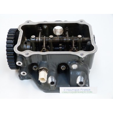 BF20D CYLINDER HEAD 20 HP 4S HONDA