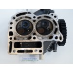 BF20D CYLINDER HEAD 20 HP 4S HONDA