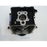 9.9 CV 4T DELLA TESTATA MERCURY F9.9MLH