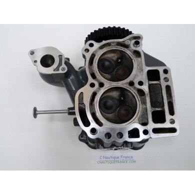 BF10D CYLINDER HEAD 10 HP 4S HONDA 2000