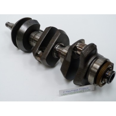 75 - 90 CV 2T VILEBREQUIN YAMAHA AUTOLUB 6H0 6H1