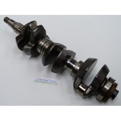 75 - 90 CV 2T VILEBREQUIN YAMAHA AUTOLUB 6H0 6H1