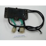 F150 F200 RADDIZZATORE 150 - 200 CV YAMAHA 6DA-81960-10