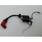 4 - 5 HP 2S IGNITION COIL YAMAHA 6E0