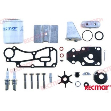 F9.9C F15C KIT DI REVISIONE 9.9 - 15 CV 4T YAMAHA