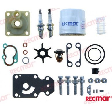 F20B KIT DI REVISIONE 20 CV 4T YAMAHA