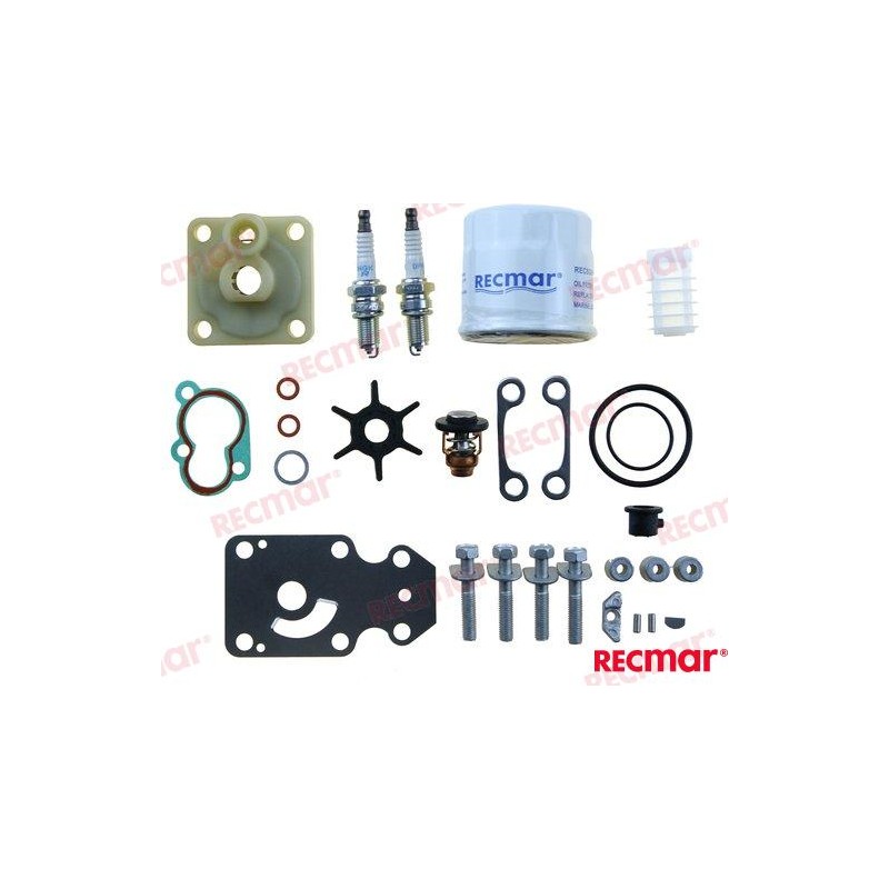F20B KIT DI REVISIONE 20 CV 4T YAMAHA