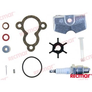 F2.5A KIT DI REVISIONE PER 2.5 CV 4T YAMAHA