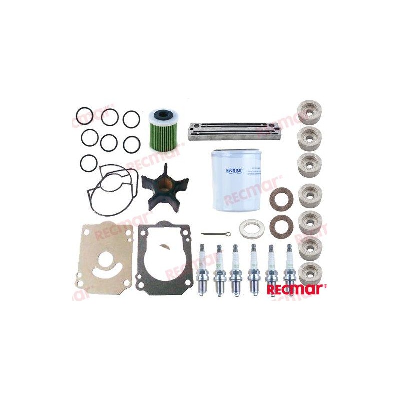 DF200 DF225 DF250 KIT REVISION SUZUKI