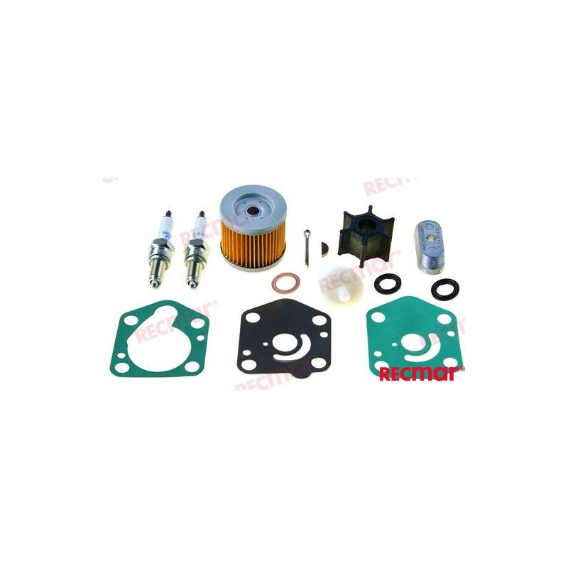 DF9.9 DF15 KIT DI REVISIONE PER 9.9 - 15 CV 4T SUZUKI