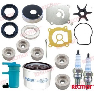 DF25 DF30 KIT DI REVISIONE PER 20 - 25 CV 4T SUZUKI V2