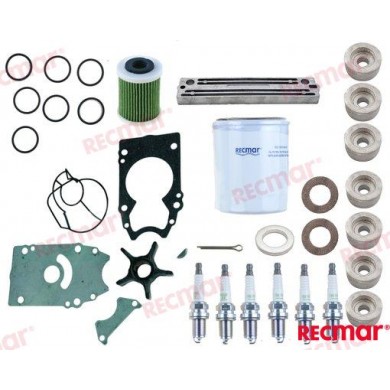 DF250A DF250S DF300A MAINTENANCE KIT 250 - 300 CV SUZUKI