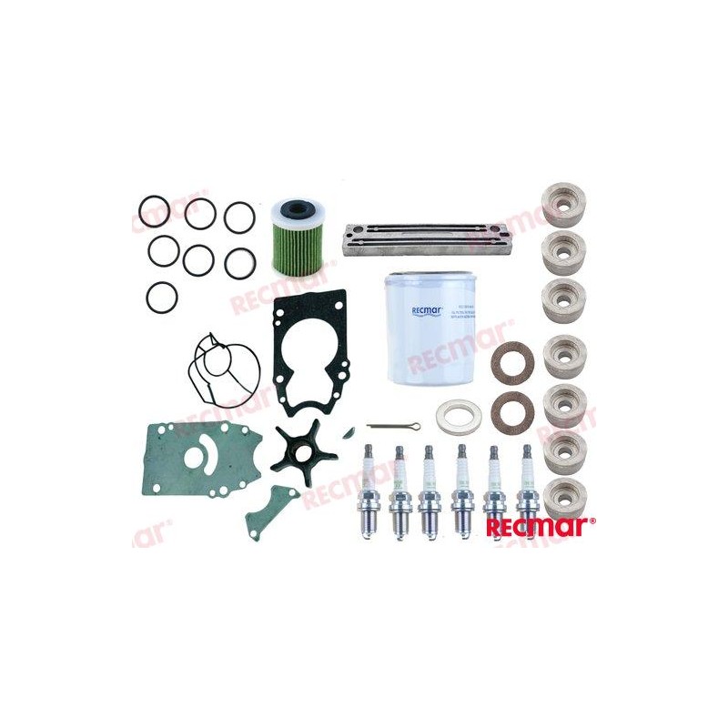 DF250A DF250S DF300A KIT DI REVISIONE 250 - 300 CV SUZUKI