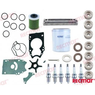 DF250A DF250S DF300A MAINTENANCE KIT 250 - 300 CV SUZUKI