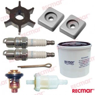 BF8 BF9.9D BF10 KIT DI REVISIONE PER 8 - 10 CV 4T HONDA