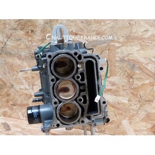 BLOCCO MOTORE FUORIBORDO SUZUKI DF40 DF50 87J