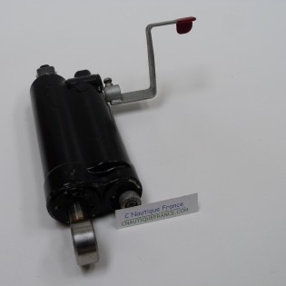 DF25 DF30 CILINDRO AMMORTIZZATORE IDRAULICO 25 - 30 CV 4T SUZUKI 89J