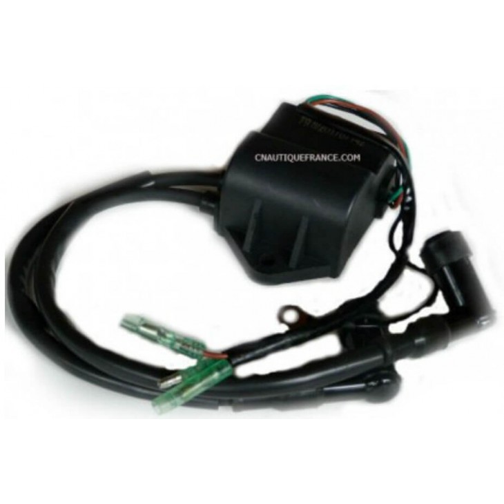 CENTRALINA CDI 6 - 8 - 9.8 CV 2T TOHATSU MOTORE FUORIBORDO