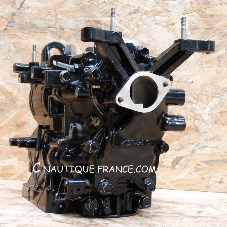 CARTER BLOC MOTEUR 40 CV 2T MERCURY MARINER 821358